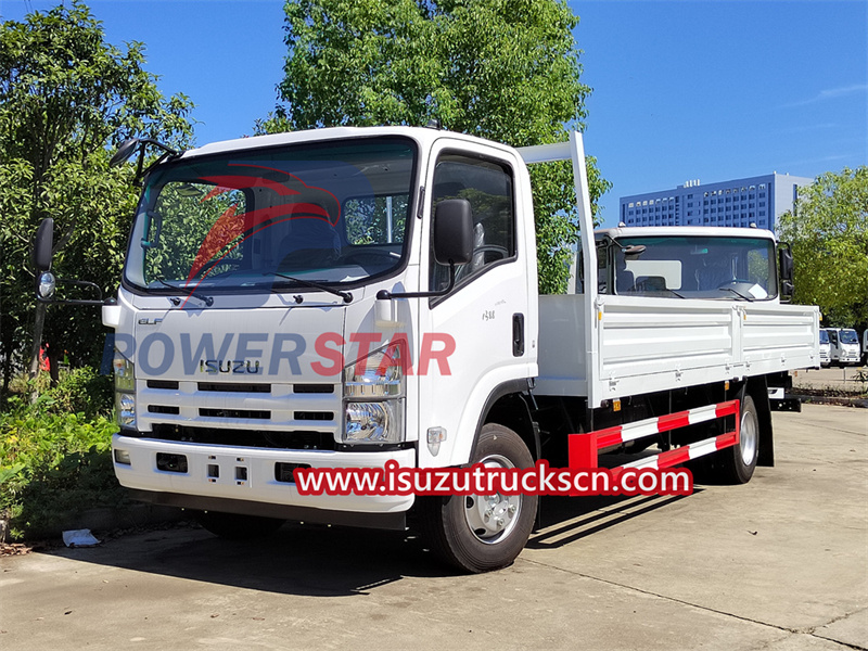 Isuzu ELF 5tons cargo truck