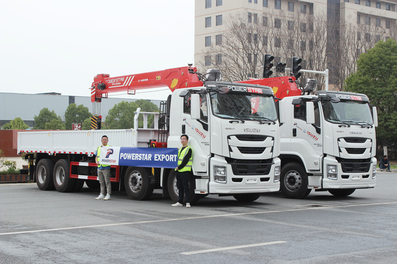 Myanmar - 2 unit ISUZU GIGA Palfinger Boom Crane Truck
    