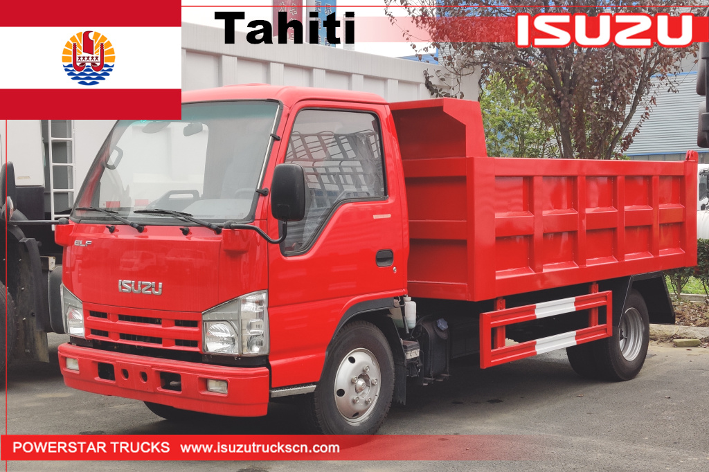 Tahiti - 1 unit ng ISUZU mini elf Dump Tipper Truck
    