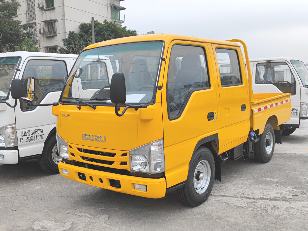 May stock na bagong Isuzu ELF double row fence light cargo truck
    