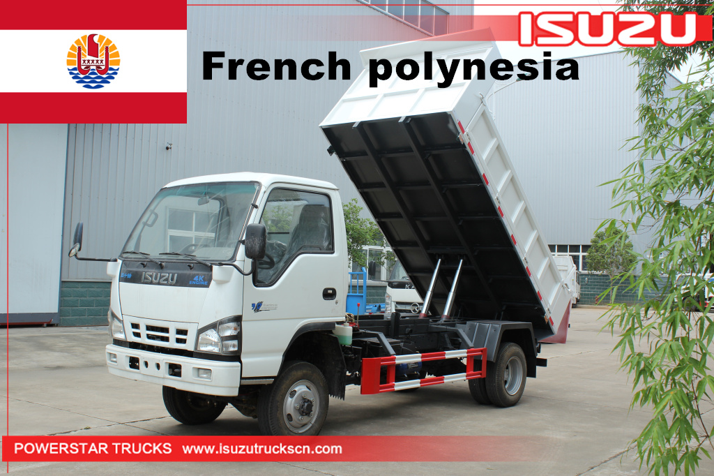 French Polynesia - 1 unit ISUZU NKR 4*4 Dump Tipper Truck
    